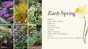 Early spring