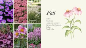 Fall Flowering