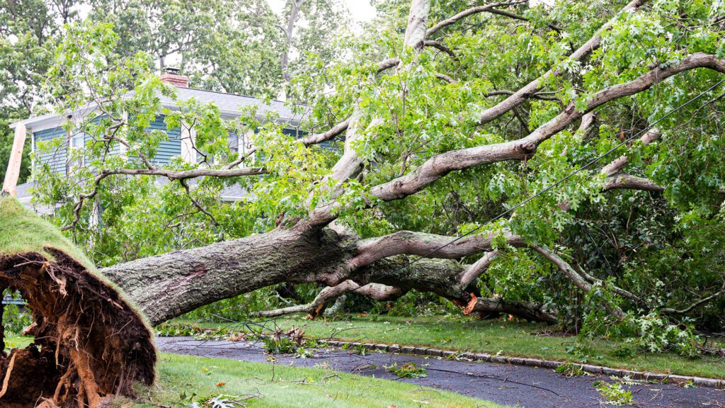 Do You Have the Right Insurance in Florida for the Upcoming Hurricane Season?