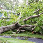 Do You Have the Right Insurance in Florida for the Upcoming Hurricane Season?