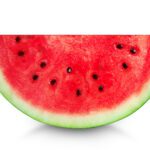 The Humidity Survival Kit: Why ‘Just Drink More Water’ Isn’t Cutting It