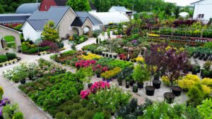 Garden of Bloomfield Nursery overhead