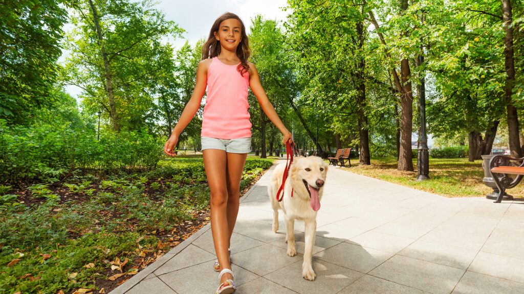 Spring Into Shape With Your Pup