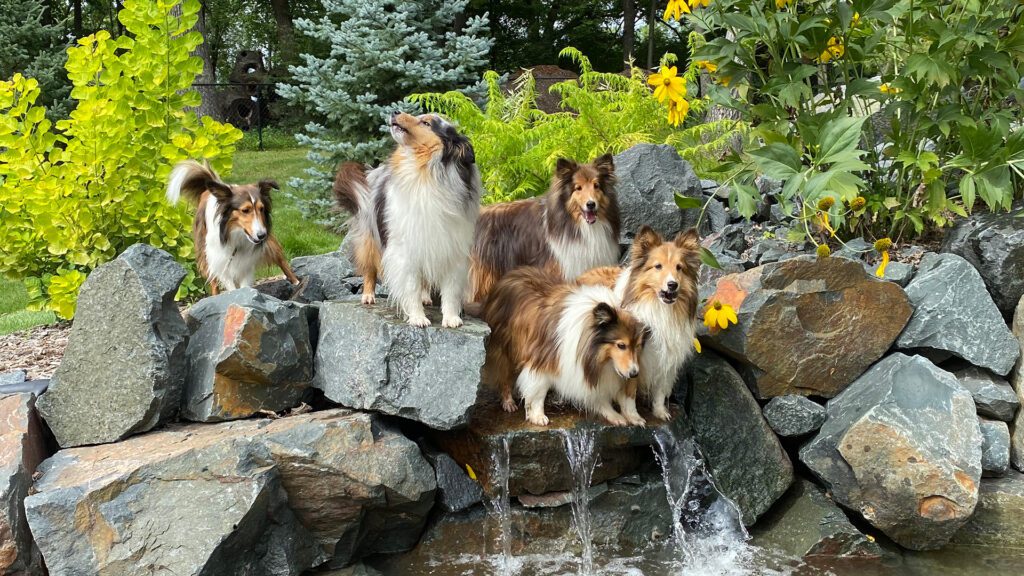 Mutterly Love! Celebrating National Dog Mom’s Day