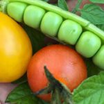 Growing Vegetables in Containers