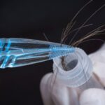 What Your Blood Work Can’t Tell You: The Simple Hair Test That Reveals What’s Really Going On Inside Your Body
