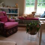 Bright Days, Cozy Corners: A Work-from-Home Refresh