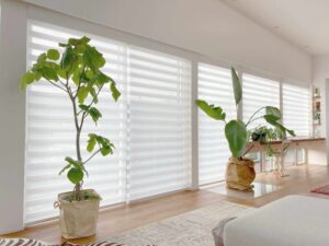 Honeycomb blinds-Blinds ASAP