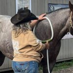 A Smarter Approach to Recovery: How PEMF Therapy Supports Your Horses and Pets