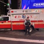 Me and the Police Dogs: 30 Years with K9s
