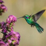 Backyard Bird Scavenger Hunt: Birds You Might Spot Around Rock Hill This Summer