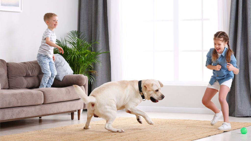 A Perrysburg Guide to Flooring for Homes With Kids and Pets