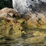 What’s in Your Water and Who’s Checking It?