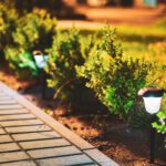 Why Hiring a Landscape Lighting Specialist Makes a Difference