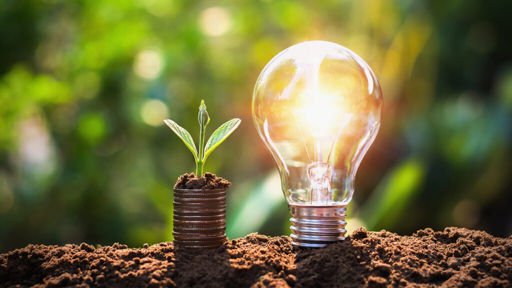 Energy Saving Tips for Surviving Summer