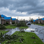 Protecting Your Wiregrass Home Starts with Choosing the Right Roofer