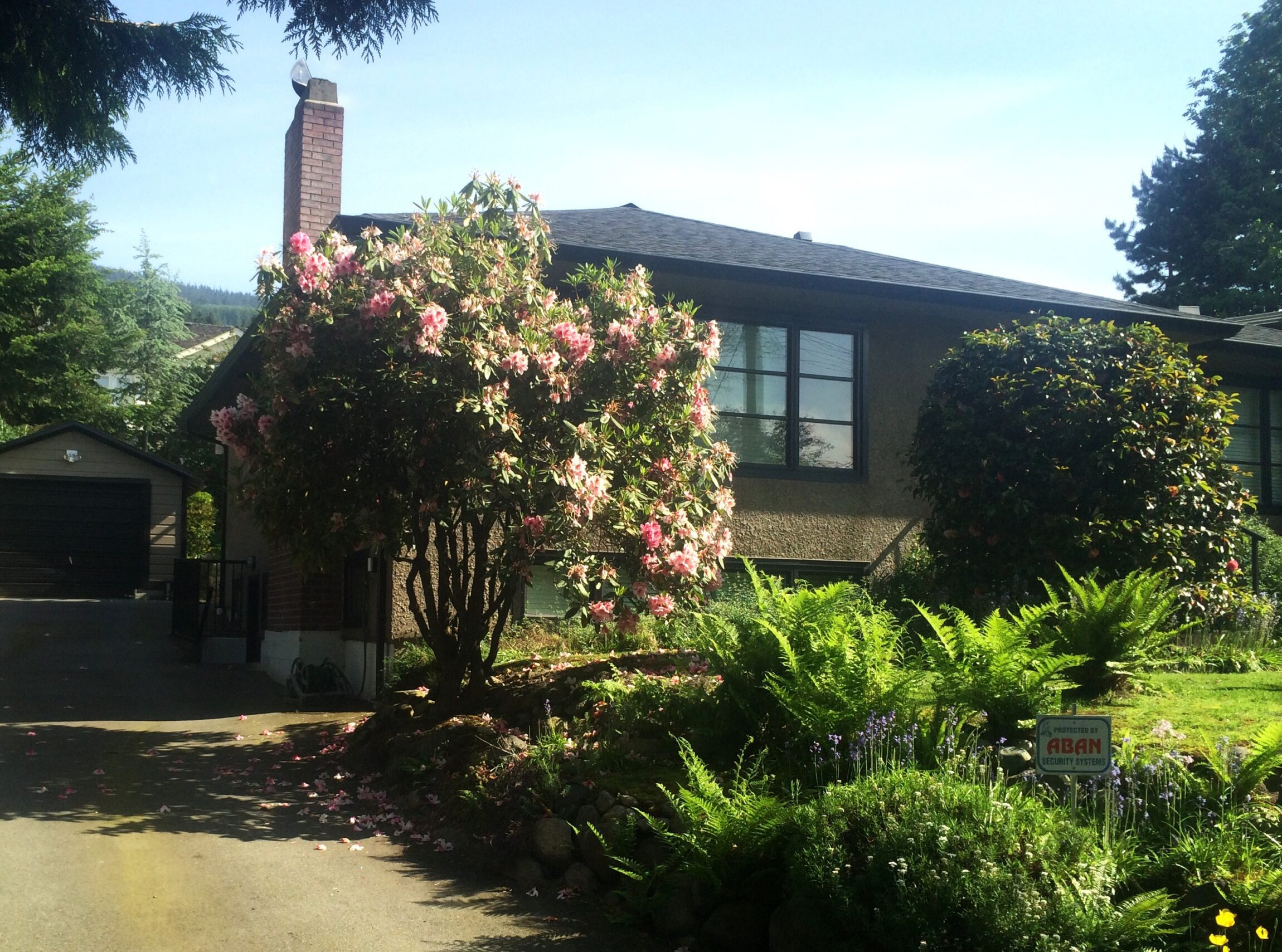 Mathers Before David Adair Blackfish Homes