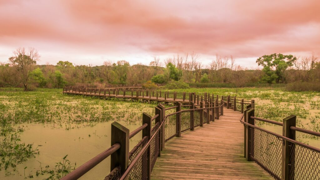 Summit Township Lakes: Where Lake Life Meets Everyday Living