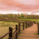 Summit Township Lakes: Where Lake Life Meets Everyday Living