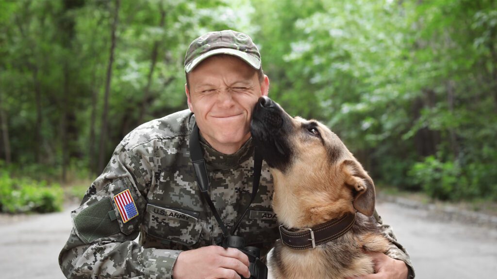 Honoring our Military Canines