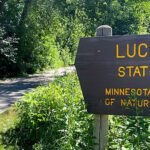 Family Day Trips to Add to Your Minnesota Summer Bucket List