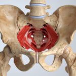 Is Your Pelvic Floor Holding You Back? Here’s What You Need to Know