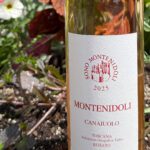 Montenidoli’s Rosato and the Return of Canaiolo