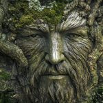 Pro Tip: May Is the Month to Take Care of ‘Old Man’ Trees