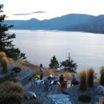 2026 Landscape Trends: Designing Outdoor Spaces That Work Harder for You