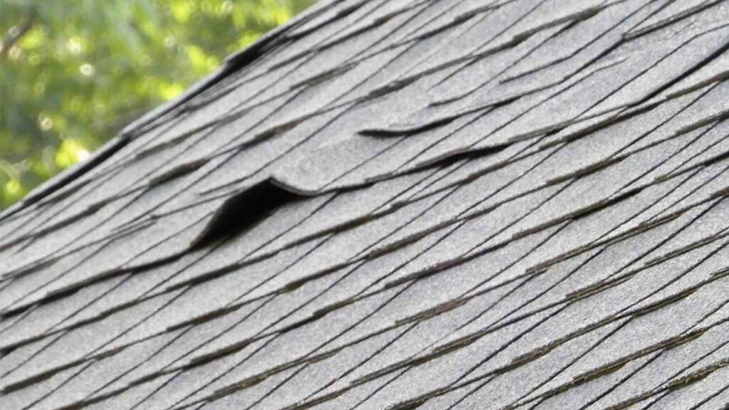 Peace of Mind Starts at the Top: How to Safeguard Your Roof Today