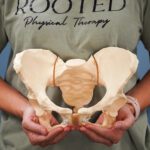 The ‘Weak Bladder’ Myth: Why Your Tummy Troubles Are Calling the Shots