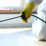 The Evolution of Pest Control