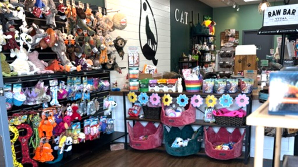 Spring Into Wellness: Refresh Your Pet’s Routine With Earthwise