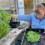 The Therapeutic Power of Gardening