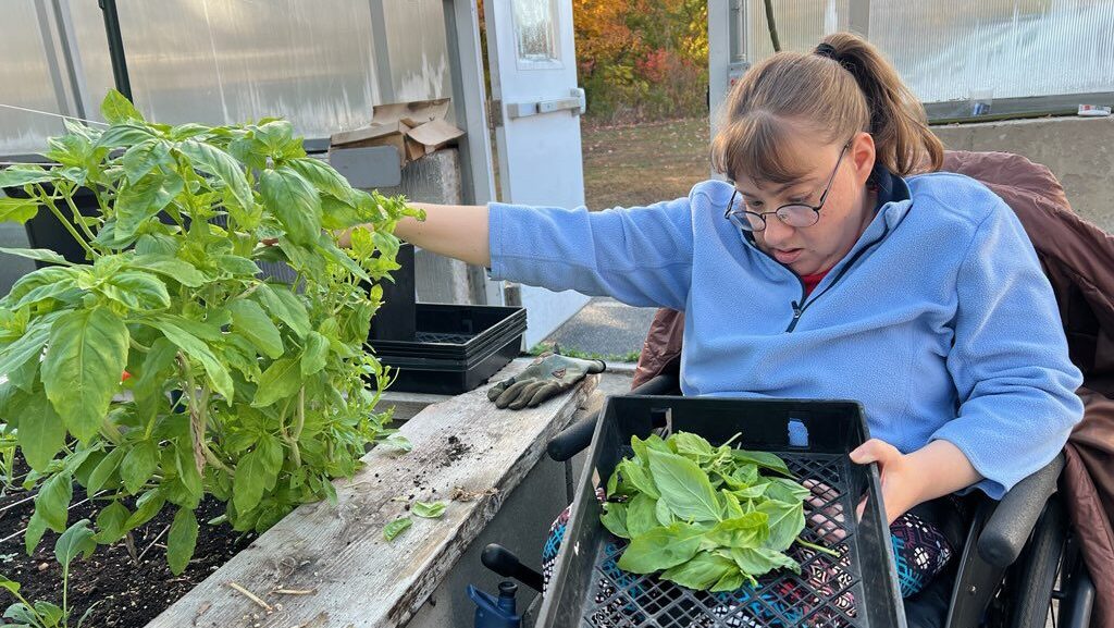 The Therapeutic Power of Gardening