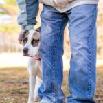 Help for Nervous or Anxious Dogs
