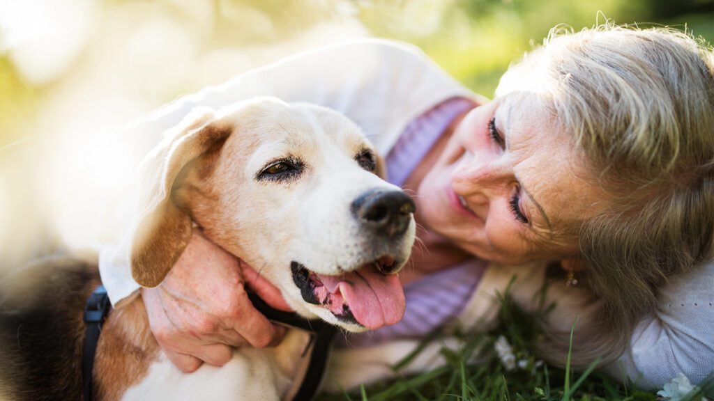 Why Senior Pets Make Exceptional Companions