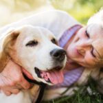 Why Senior Pets Make Exceptional Companions