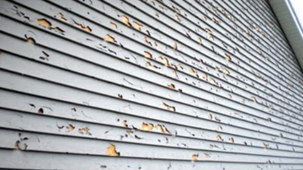 Storm Season in Minnesota: Why Choosing the Right Exterior Expert Matters