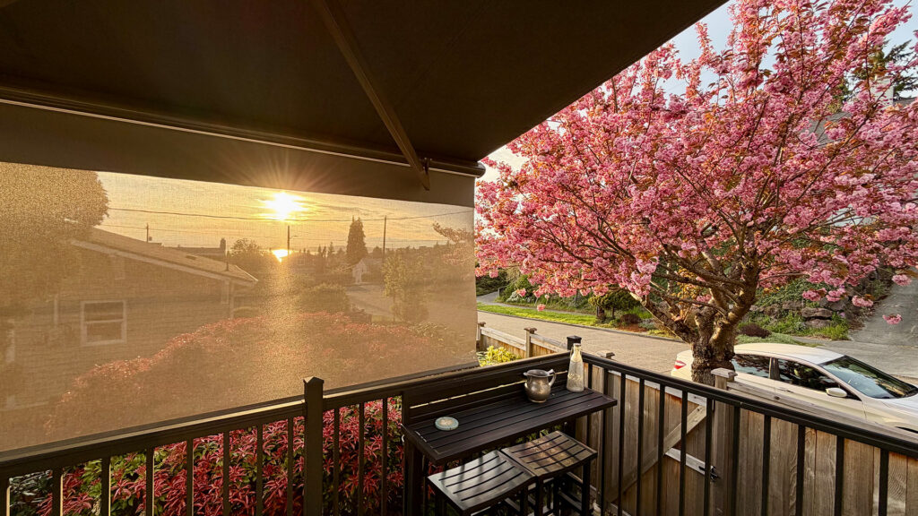 Making Outdoor Spaces More Comfortable as Summer Arrives