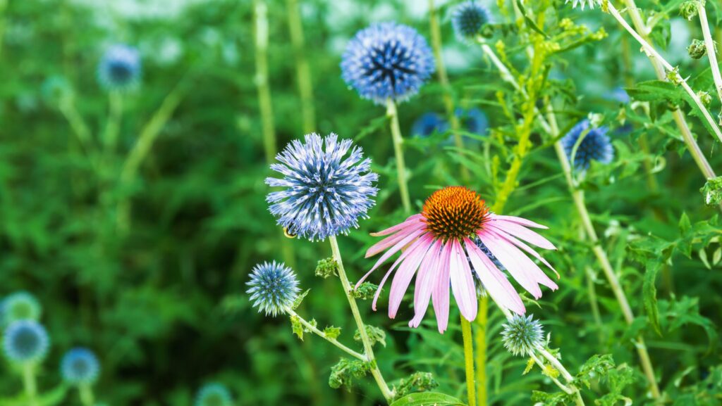 Inspired By Choice: Waking up to Summer
