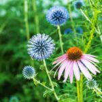 Inspired By Choice: Waking up to Summer