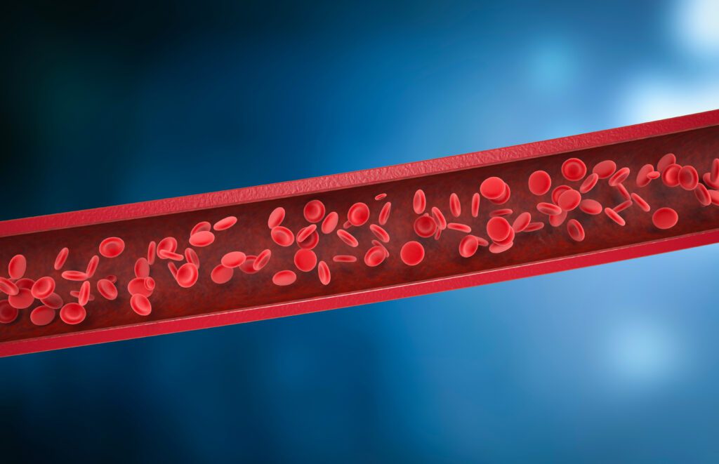 When the Smallest Vessels Speak: The Silent Circulation Crisis