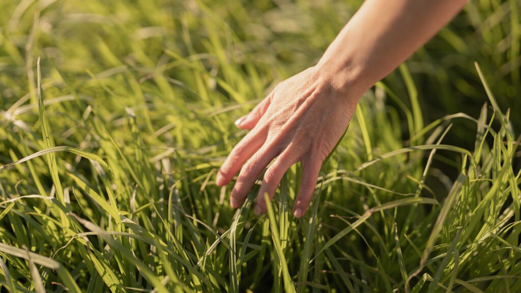 The Science of Sensation: Restoring Nerve Function Naturally