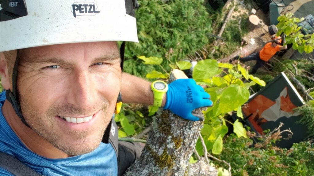 Why Tree Care Costs What It Does