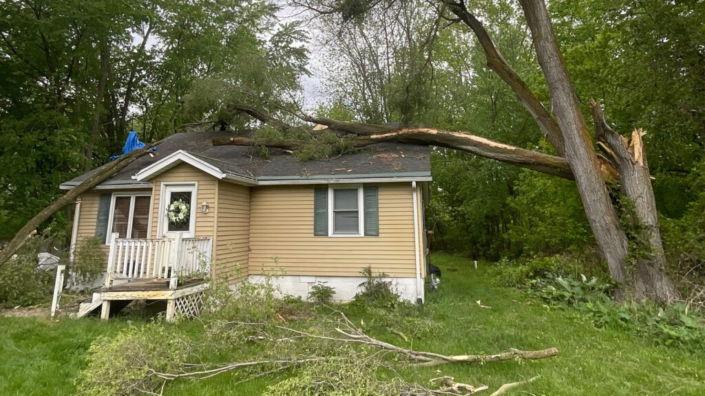 Why Branch Structure Matters
