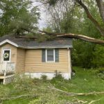 Why Branch Structure Matters