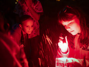 Viewing firefly-Swaner Preserve & EcoCenter