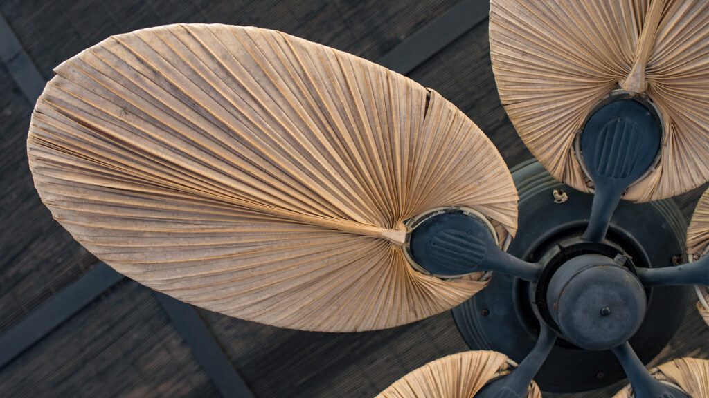 The Ceiling Fan Renaissance: The Hardest-Working Fixture in Your Home Is Also the Most Stylish