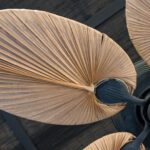 The Ceiling Fan Renaissance: The Hardest-Working Fixture in Your Home Is Also the Most Stylish